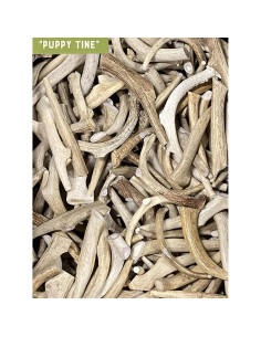 Juguete Masticable Natural para Cachorros Natural Dakota Mediano 2