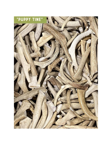 Juguete Masticable Natural para Cachorros Natural Dakota Mediano