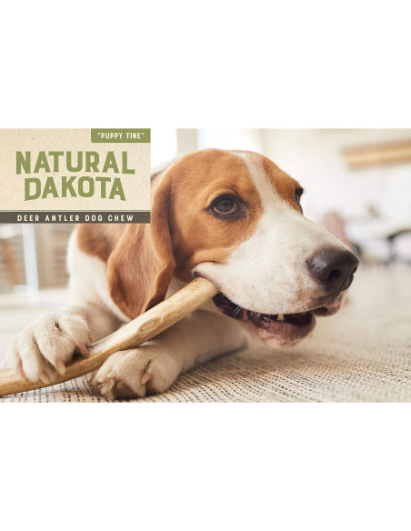 Juguete Masticable Natural para Cachorros Natural Dakota Mediano