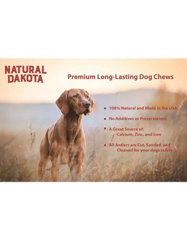 Juguete Masticable Natural para Cachorros Natural Dakota Mediano