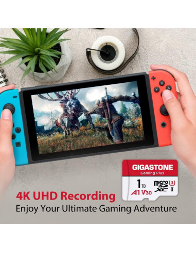 Tarjeta de Memoria Gigastone 1TB Gaming Plus MicroSDXC A1 U3