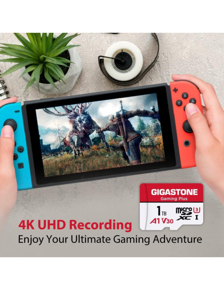 Tarjeta de Memoria Gigastone 1TB Gaming Plus MicroSDXC A1 U3