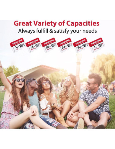 Tarjeta de Memoria Gigastone 1TB Gaming Plus MicroSDXC A1 U3