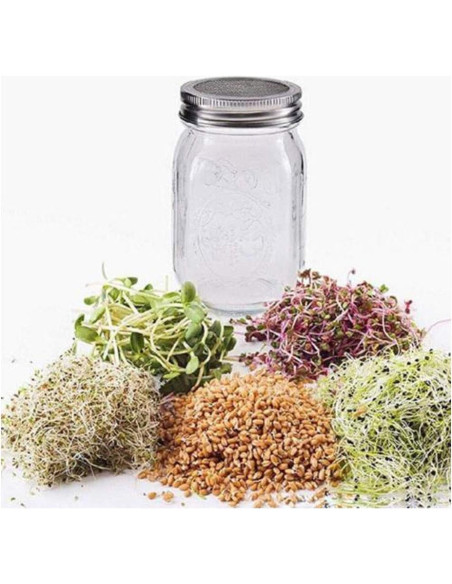Set de 6 tapas para frascos Mason L7HWDP - Infusiones y germinación