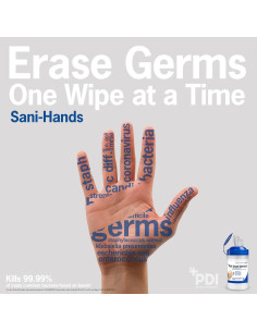 Toallitas Antibacteriales Sani-Hands con Aloe y Vitamina E 135 Unidades 2