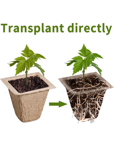 Bandeja de Inicio de Semillas SYITCUN 200 Celdas Biodegradables