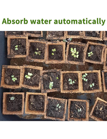 Bandeja de Inicio de Semillas SYITCUN 200 Celdas Biodegradables