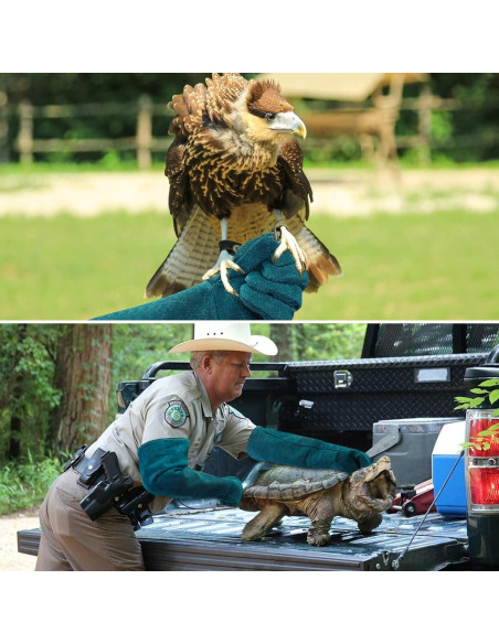 Guantes para Manejo de Animales AOWPFVV 60cm Verde Grande