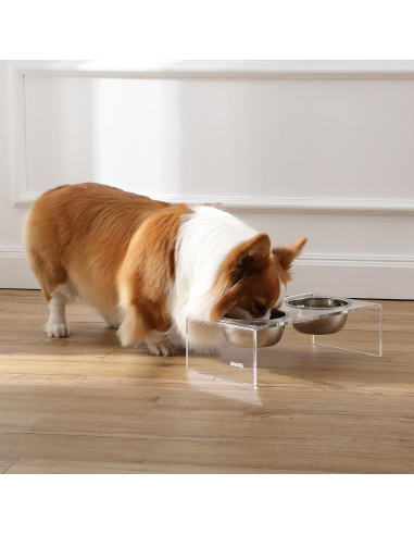 Alimentador Elevado para Perros THE LICKER STORE DBL2000A 20oz