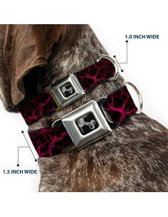 Collar para perro Buckle-Down con hebilla ajustable 28-42 cm 2