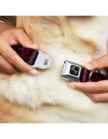 Collar para perro Buckle-Down con hebilla ajustable 28-42 cm