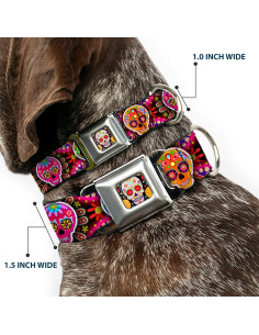 Collar de Perro Buckle-Down Multicolor Calaveras 38-66 cm 2