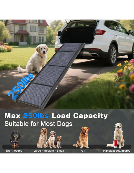 Rampa Plegable para Perros AQUILLA 170 cm Antideslizante