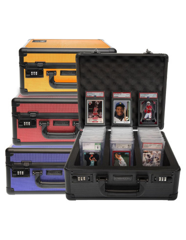 Caja de Almacenamiento de Tarjetas Graduadas Panopply 6 Compartimentos