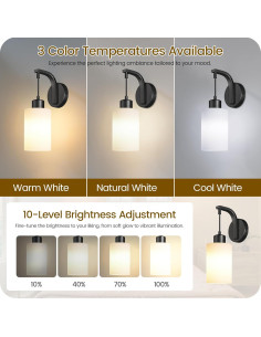 Apliques de Pared Inalámbricos GOEBLESON B03YBP205 RGB Recargables 2