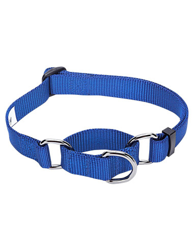 Collar Martingale para Perros Blueberry Pet Pequeño Azul