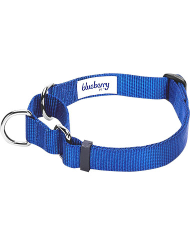 Collar Martingale para Perros Blueberry Pet Pequeño Azul