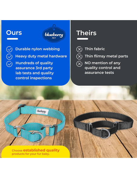 Collar Martingale para Perros Blueberry Pet Pequeño Azul