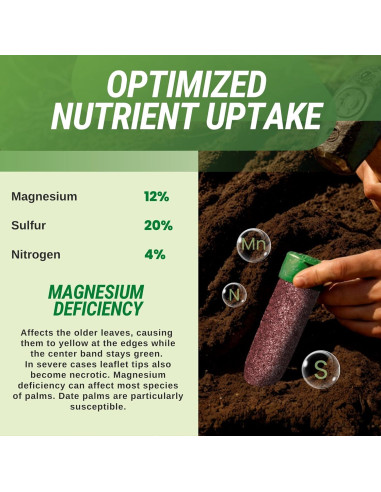 Picos de Fertilizante para Palmas Lutz 125 Picos Magnesio 12%