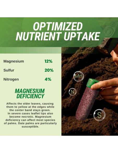 Picos de Fertilizante para Palmas Lutz 125 Picos Magnesio 12%