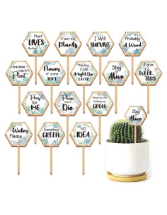 15 Etiquetas de Plantas Hexagonales GOMAKERER de Madera 6.35x12 cm