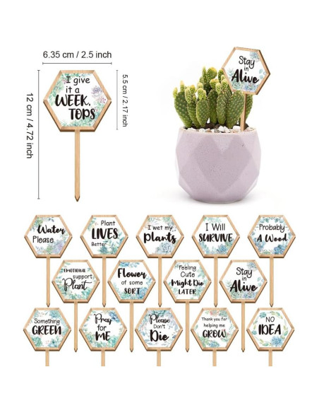 15 Etiquetas de Plantas Hexagonales GOMAKERER de Madera 6.35x12 cm