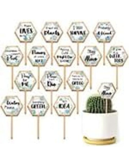 15 Etiquetas de Plantas Hexagonales GOMAKERER de Madera 6.35x12 cm