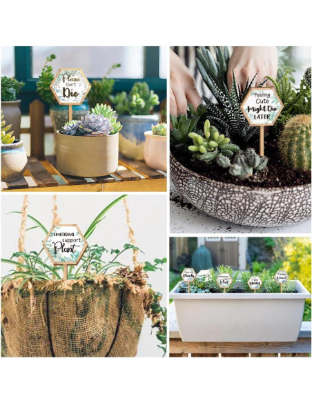 15 Etiquetas de Plantas Hexagonales GOMAKERER de Madera 6.35x12 cm