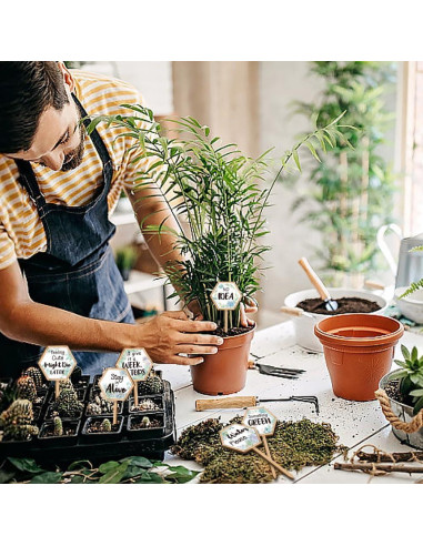 15 Etiquetas de Plantas Hexagonales GOMAKERER de Madera 6.35x12 cm