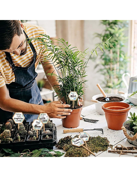 15 Etiquetas de Plantas Hexagonales GOMAKERER de Madera 6.35x12 cm