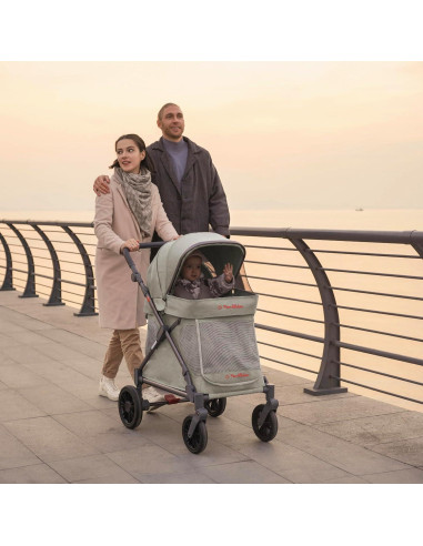 Carro Multifuncional Familidoo Q1 Plegable 10 kg Verde Salvia