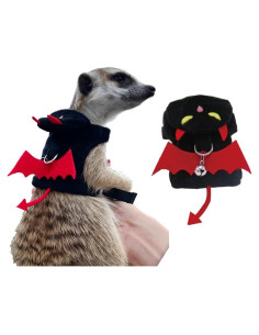 Arnés y Correa Ajustable para Hurón Barn Eleven - Maligno