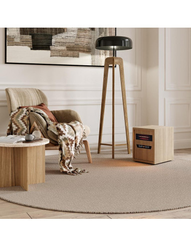 Calentador de espacio portátil Modern Ember 1500W con control remoto