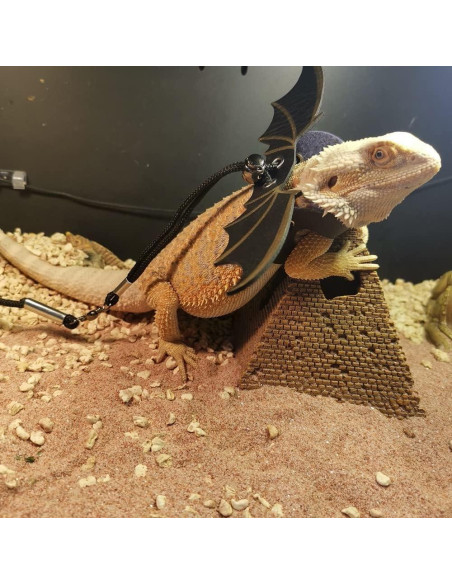 Arnés Ajustable para Lagarto Dragón Barbudo DONGKER - 3 Tamaños