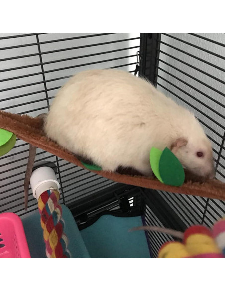 Hamaca Colgante para Hámster Kathson 5 Pcs Selva 28x20x20 cm