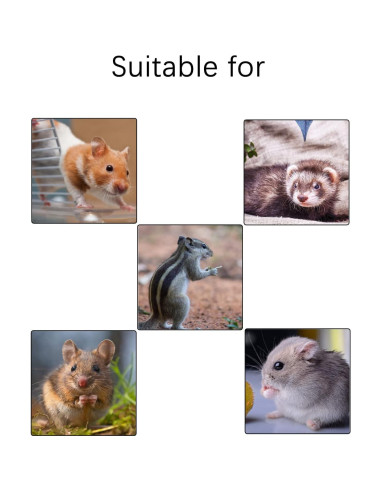 Hamaca Colgante para Hámster Kathson 5 Pcs Selva 28x20x20 cm