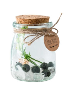 Kit de Terrario de Bolas de Musgo Golyuk - 5 Pcs, Cristal Blanco