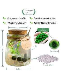 Kit de Terrario de Bolas de Musgo Golyuk - 5 Pcs, Cristal Blanco 2