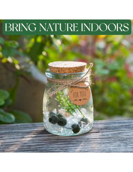 Kit de Terrario de Bolas de Musgo Golyuk - 5 Pcs, Cristal Blanco