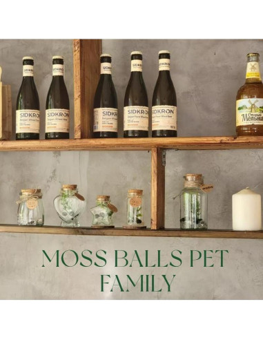 Kit de Terrario de Bolas de Musgo Golyuk - 5 Pcs, Cristal Blanco