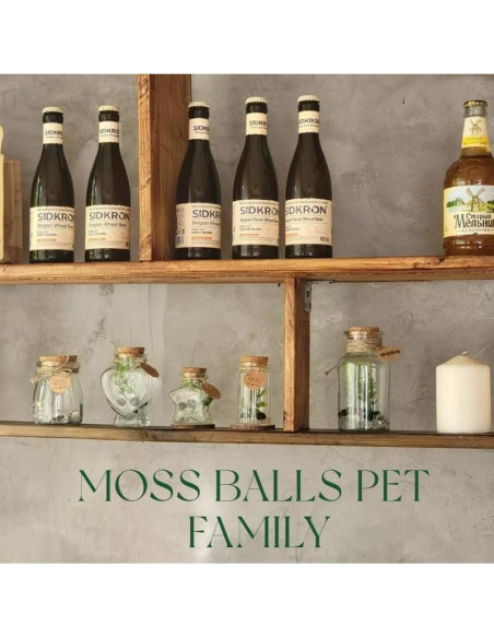 Kit de Terrario de Bolas de Musgo Golyuk - 5 Pcs, Cristal Blanco