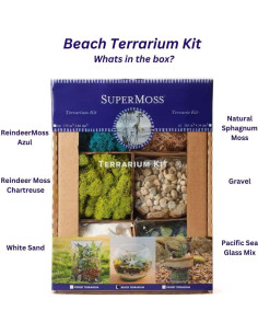 Kit de Terrario de Playa DIY SuperMoss 90420 - 227 g 2