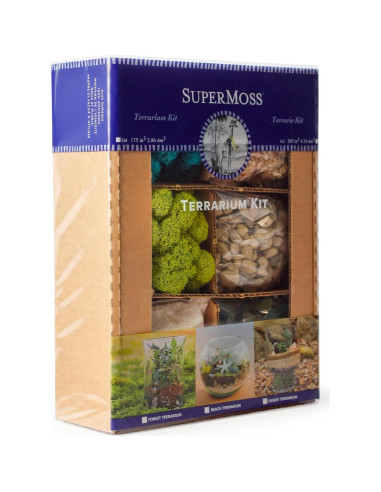 Kit de Terrario de Playa DIY SuperMoss 90420 - 227 g
