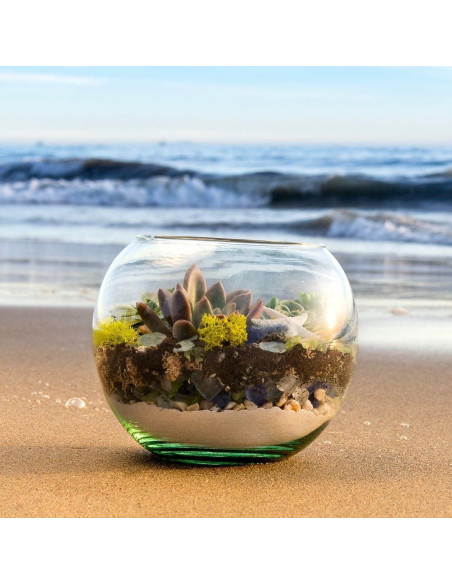 Kit de Terrario de Playa DIY SuperMoss 90420 - 227 g