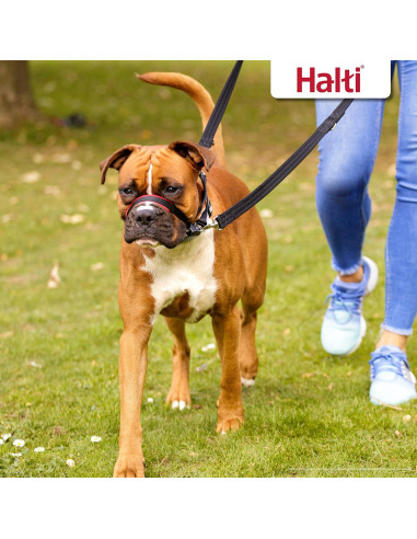 Collar de Cabeza HALTI Optifit Antitirones Mediano Ajustable