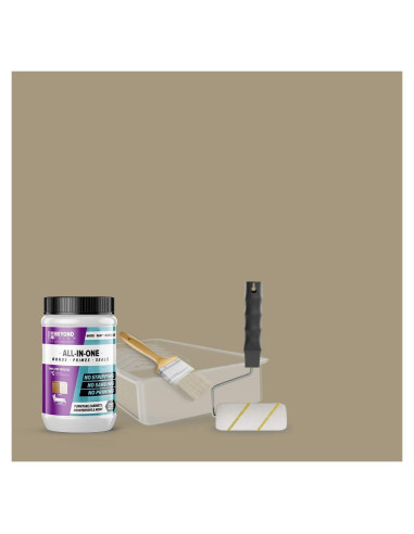 Kit de Renovación BEYOND PAINT 32 Oz Color Piedra