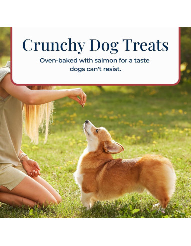 Galletas Crujientes Blue Buffalo Basics Salmón y Papa 170g