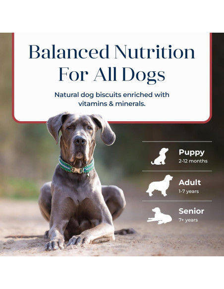 Galletas Crujientes Blue Buffalo Basics Salmón y Papa 170g