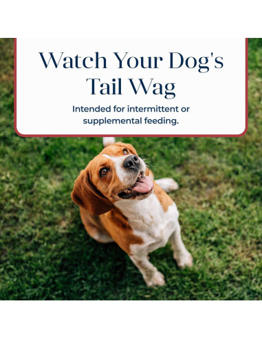 Galletas Crujientes Blue Buffalo Basics Salmón y Papa 170g