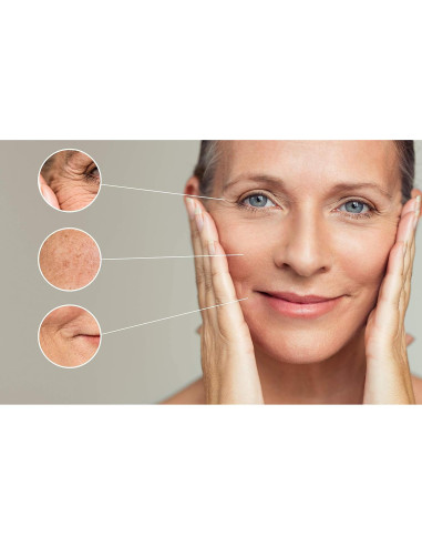 Aceite de Nuez de Macadamia Dr Joe Lab 946 ml Puro Hidratante